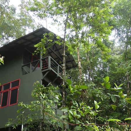 Yatama Rainforest Ecolodge Sarapiquí Extérieur photo