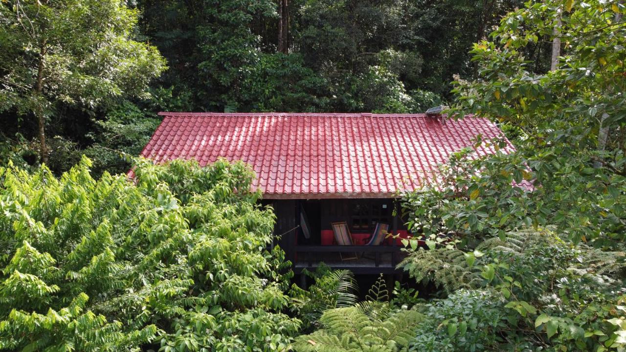 Yatama Rainforest Ecolodge Sarapiquí Extérieur photo