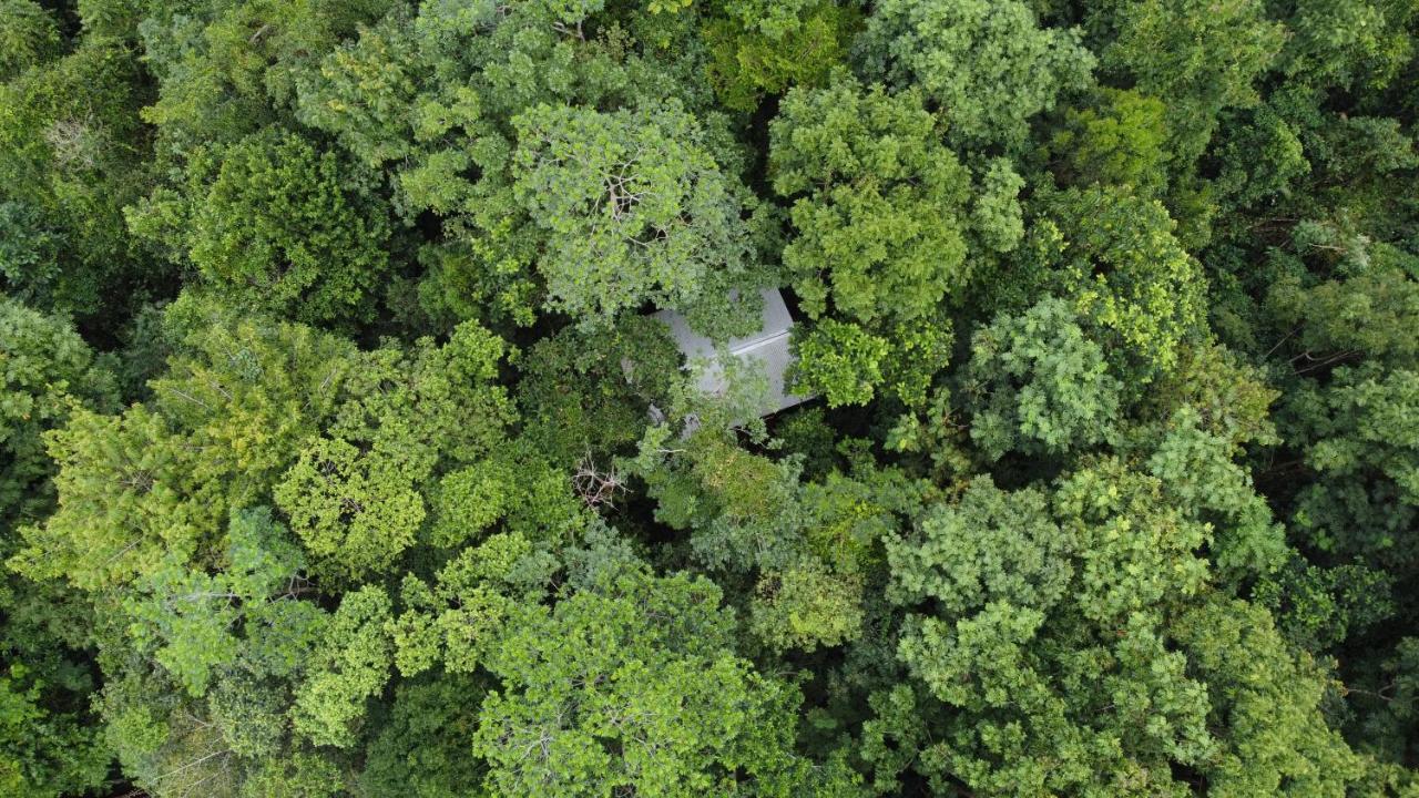 Yatama Rainforest Ecolodge Sarapiquí Extérieur photo