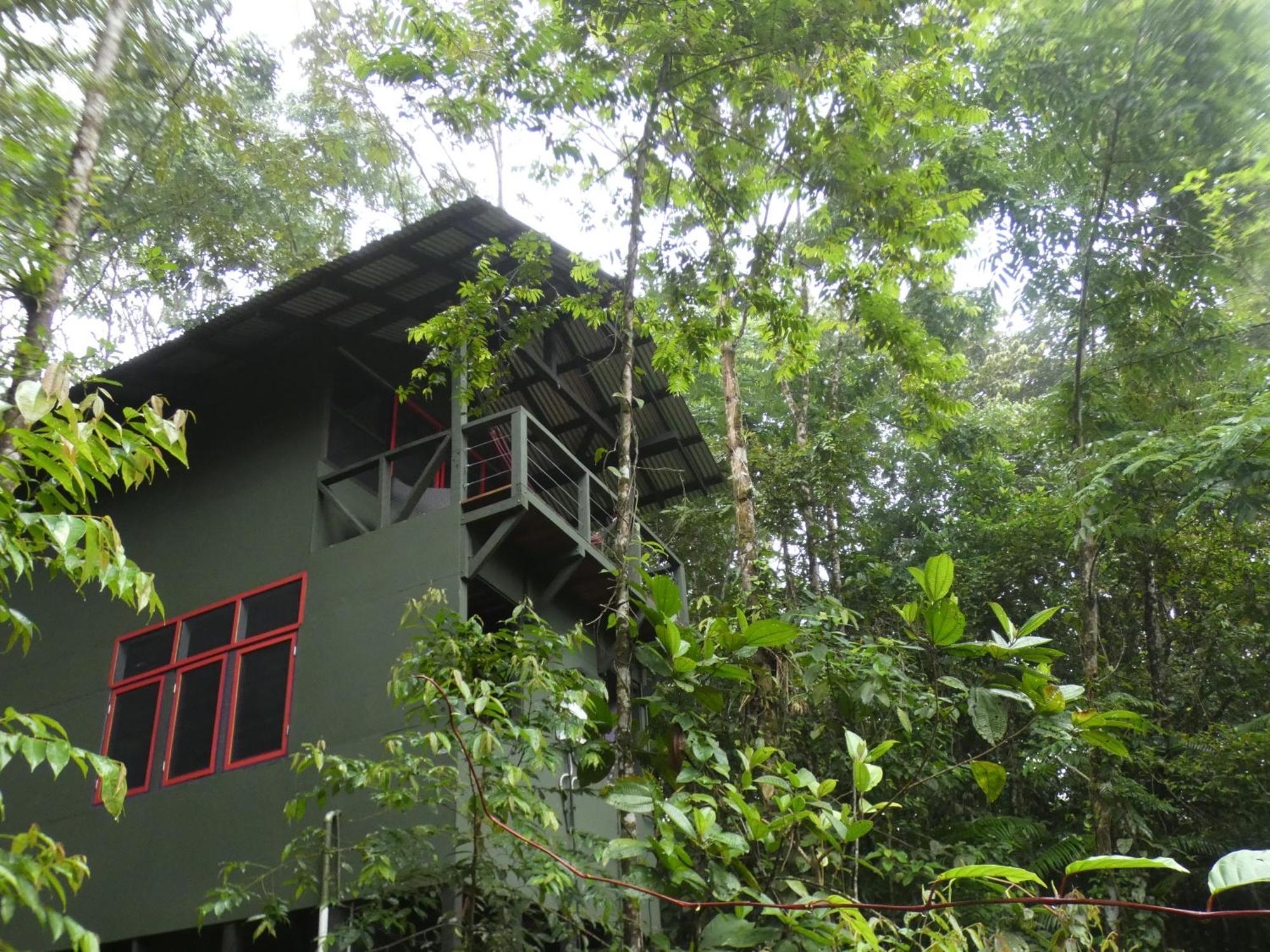 Yatama Rainforest Ecolodge Sarapiquí Extérieur photo