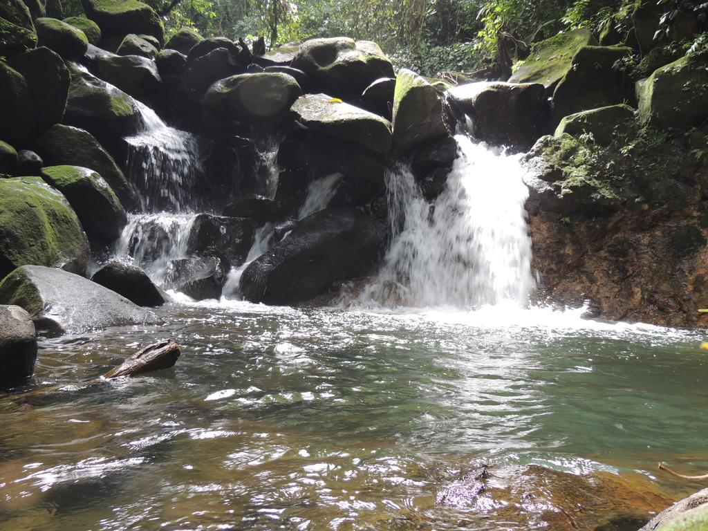 Yatama Rainforest Ecolodge Sarapiquí Extérieur photo