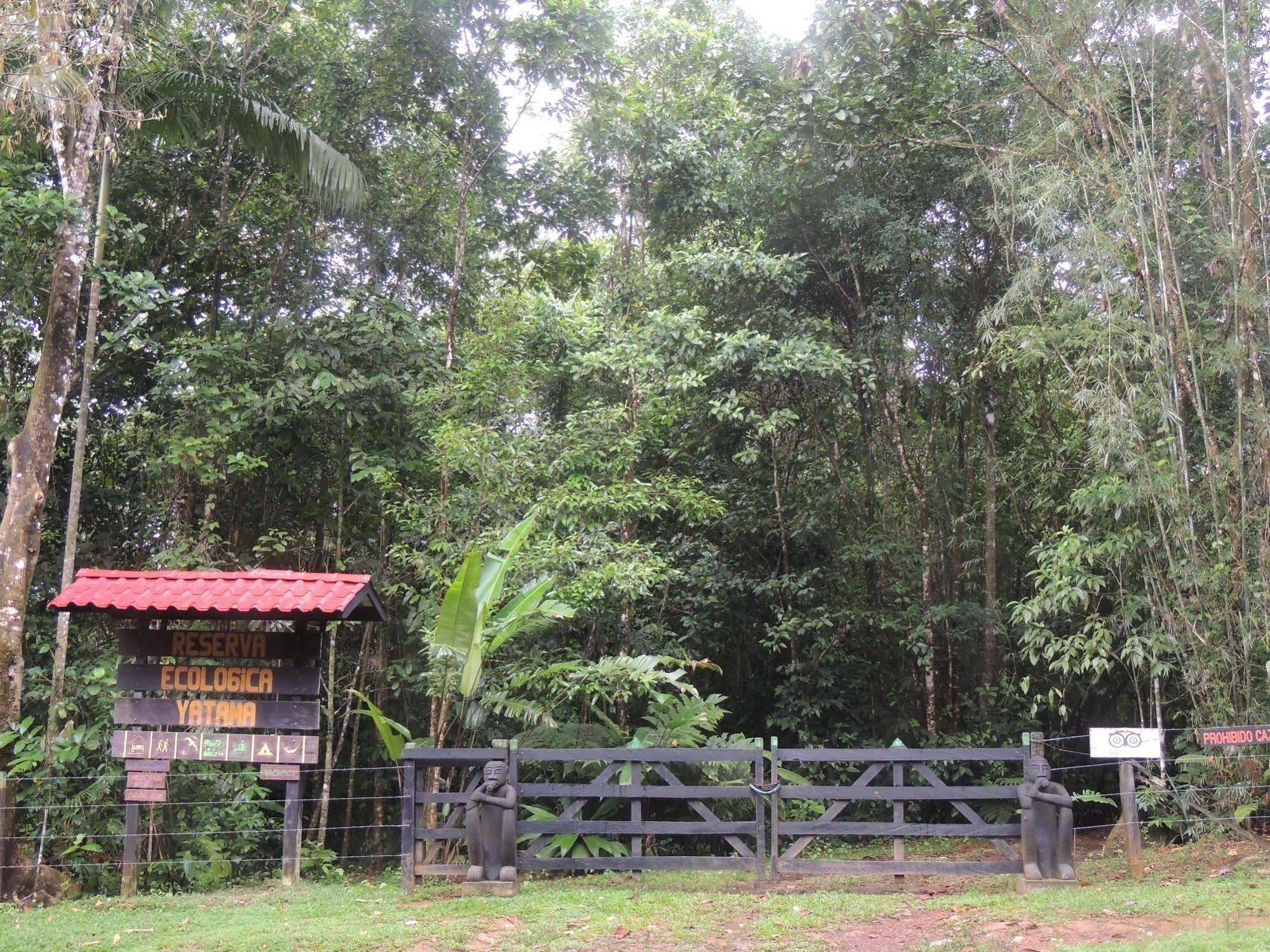 Yatama Rainforest Ecolodge Sarapiquí Extérieur photo
