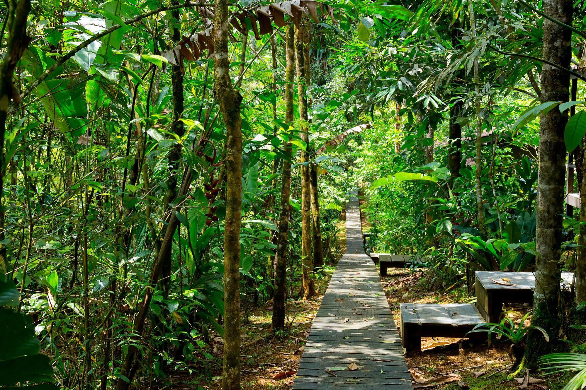 Yatama Rainforest Ecolodge Sarapiquí Extérieur photo