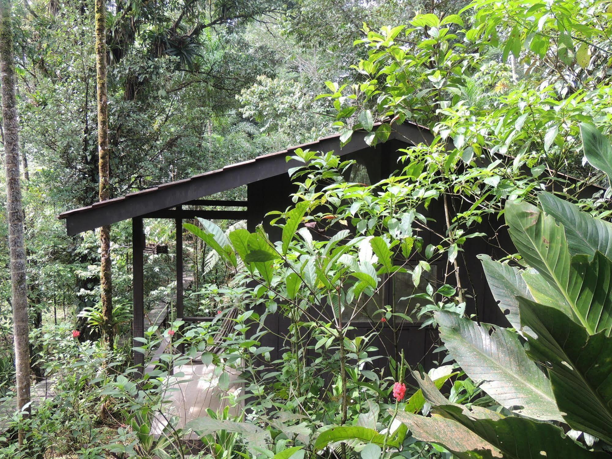 Yatama Rainforest Ecolodge Sarapiquí Extérieur photo
