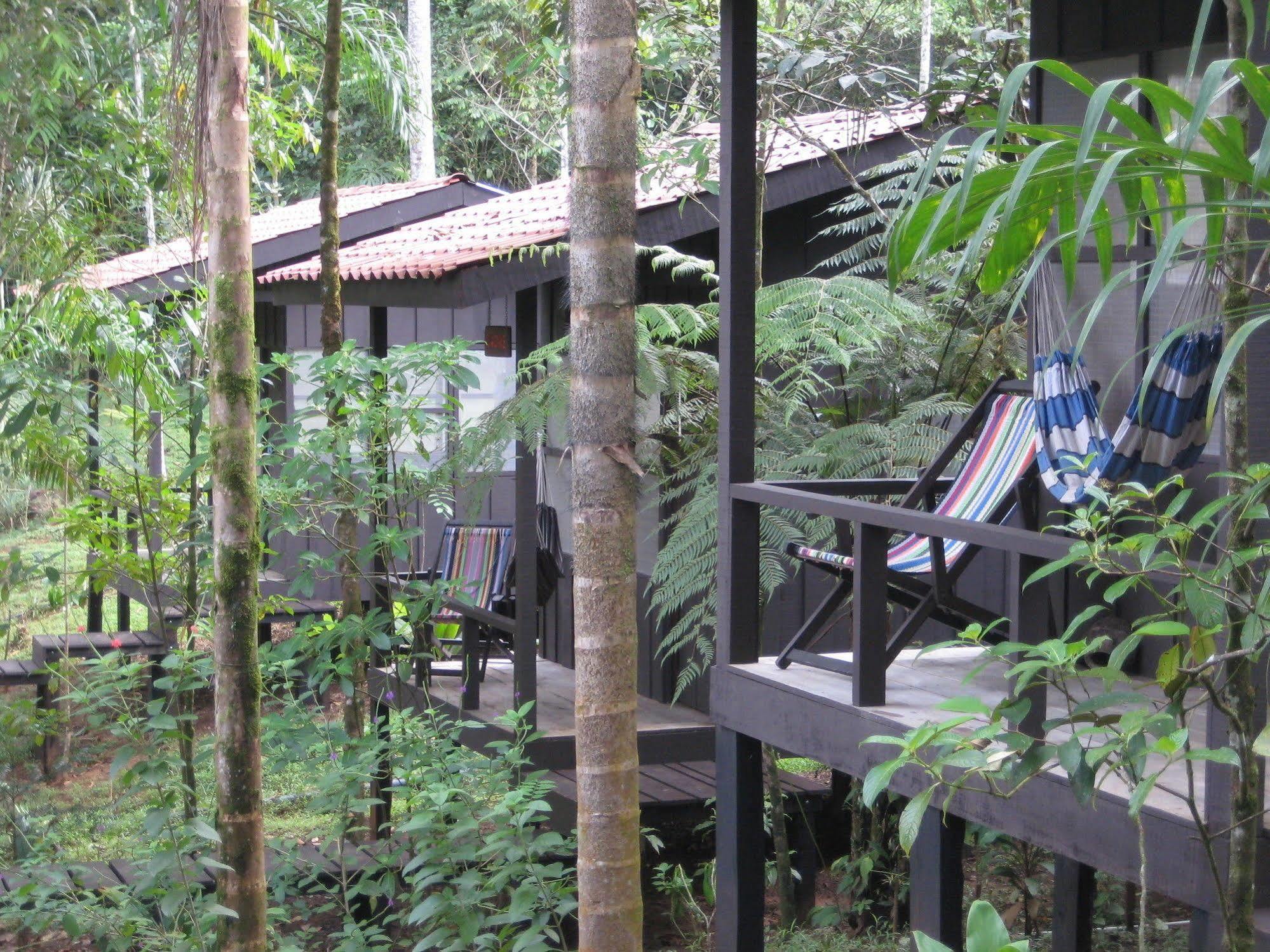 Yatama Rainforest Ecolodge Sarapiquí Extérieur photo