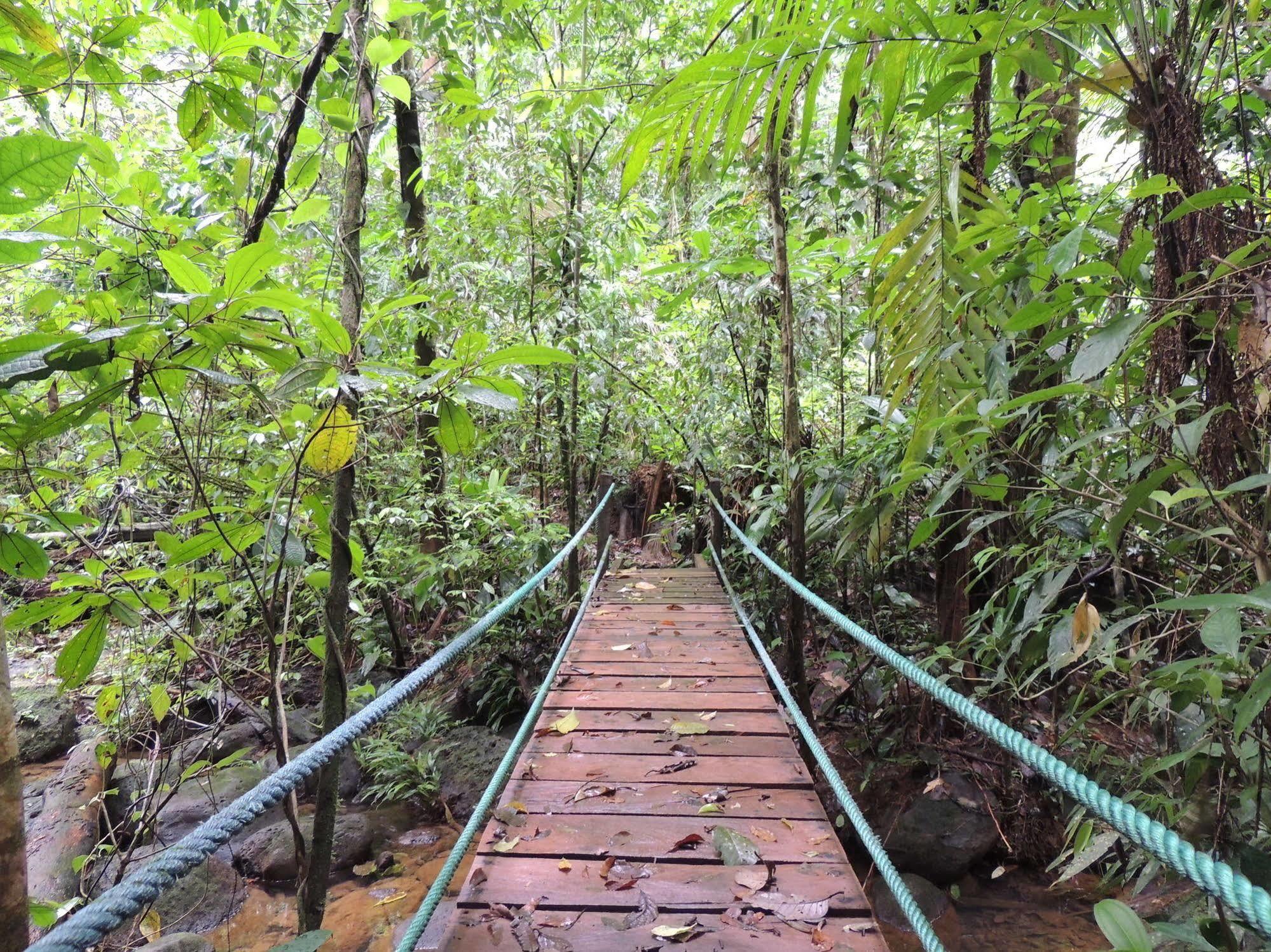 Yatama Rainforest Ecolodge Sarapiquí Extérieur photo