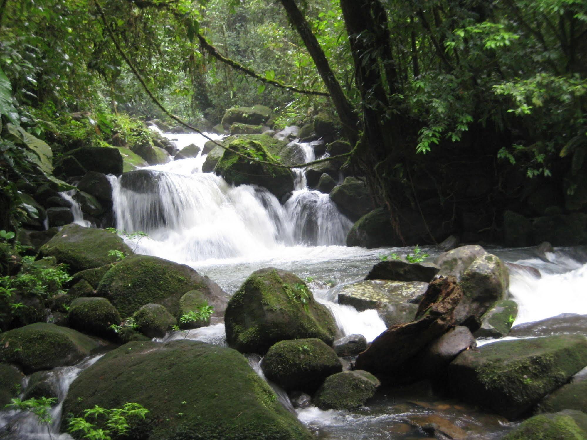 Yatama Rainforest Ecolodge Sarapiquí Extérieur photo