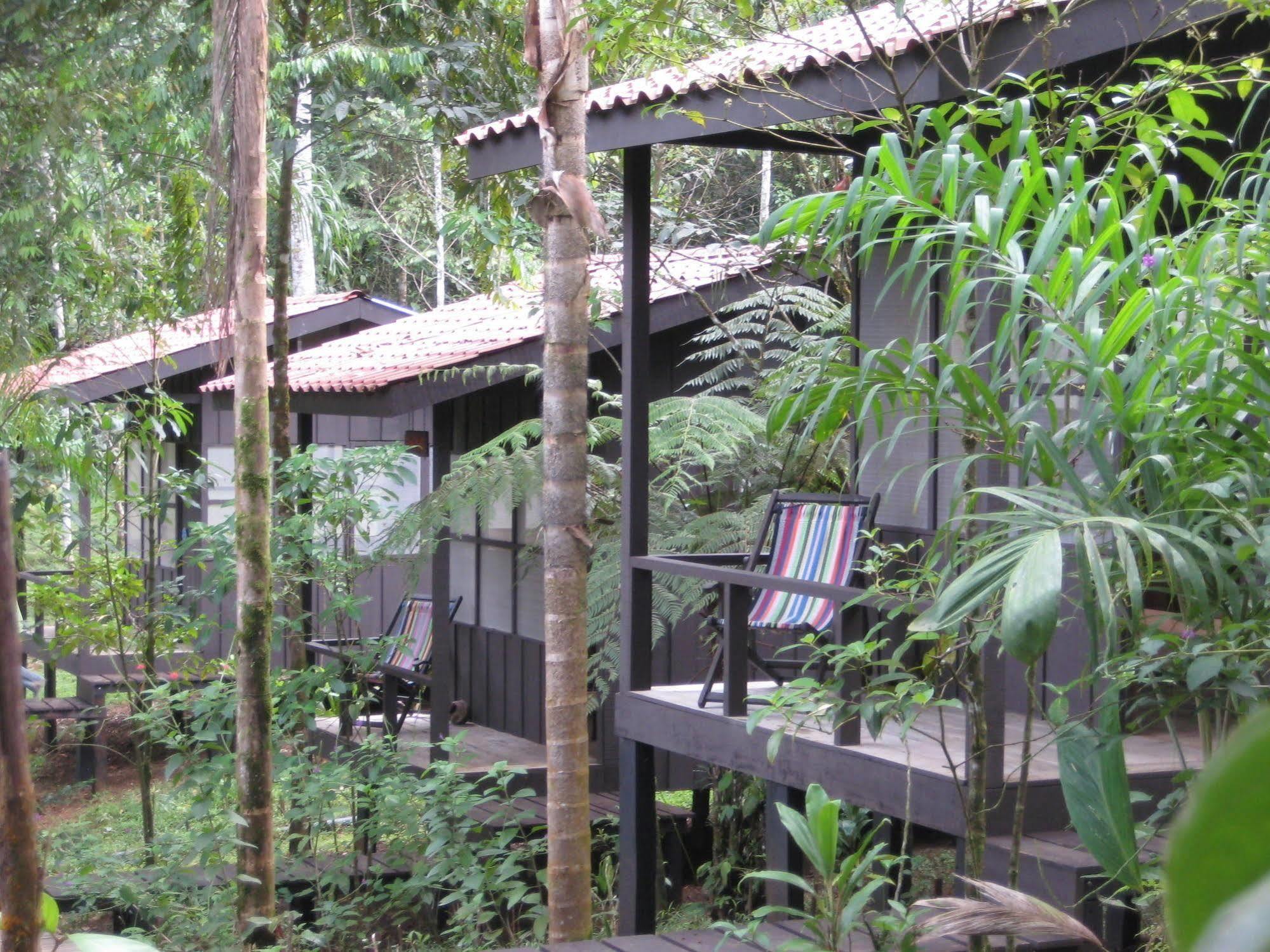 Yatama Rainforest Ecolodge Sarapiquí Extérieur photo