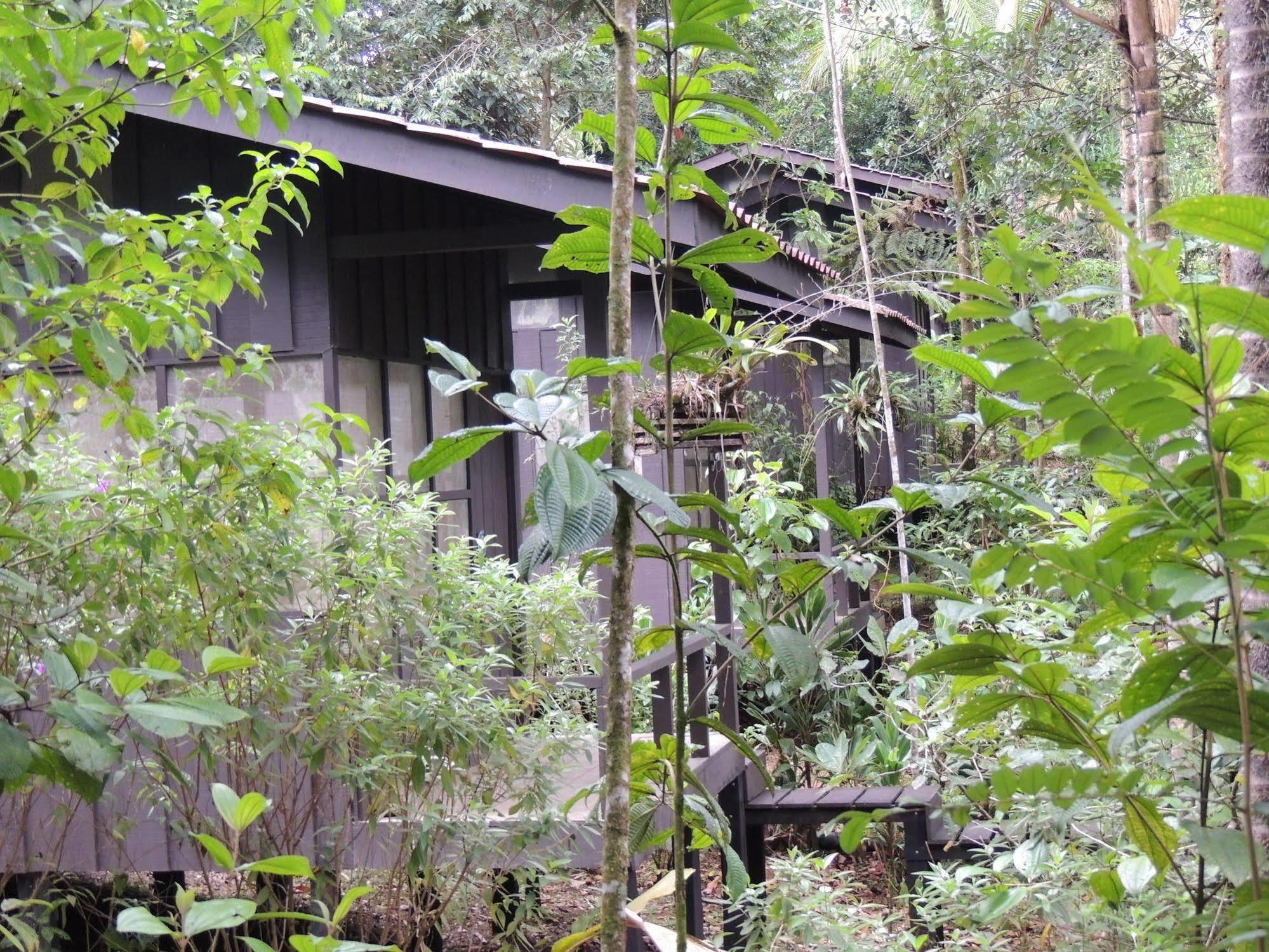 Yatama Rainforest Ecolodge Sarapiquí Extérieur photo