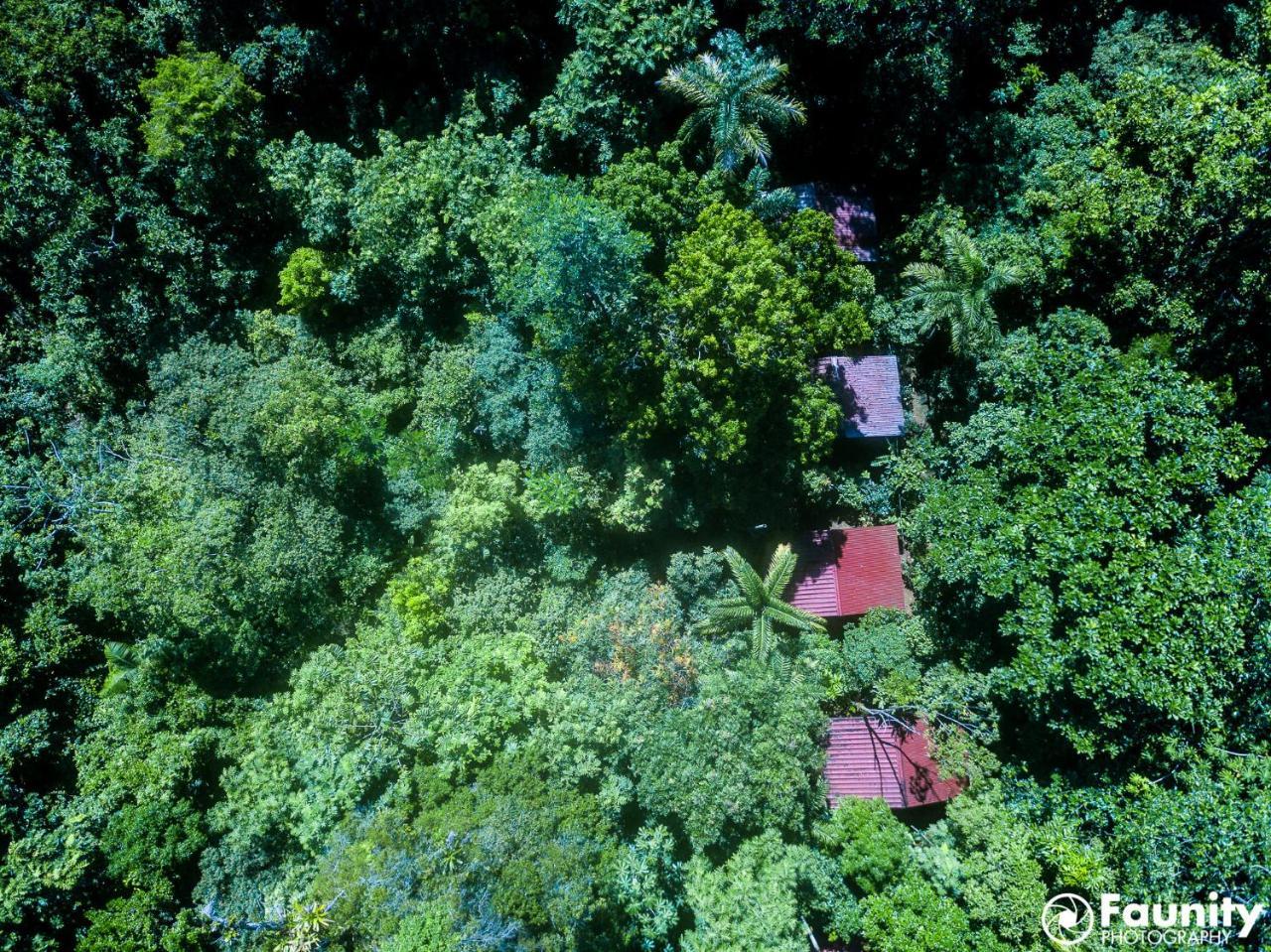 Yatama Rainforest Ecolodge Sarapiquí Extérieur photo